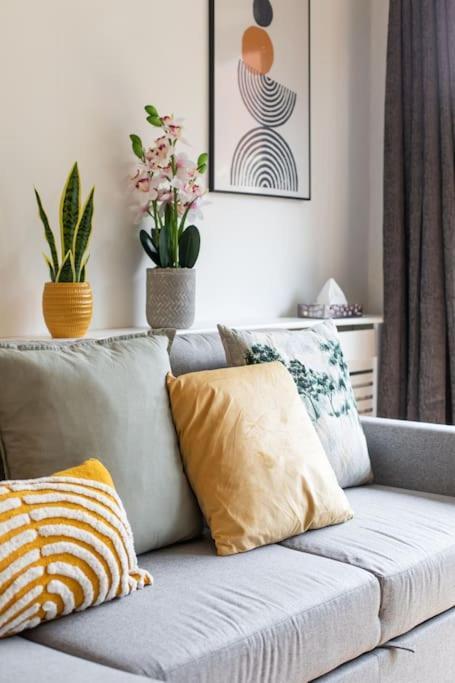 Best City Centre Luxurious Home Free Parking Belfast Eksteriør bilde